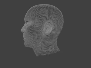 human male head 3D Model