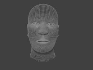 human male head 3D मॉडल