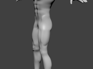 human basic complete male body Modèle 3D