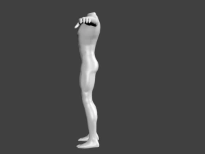 human basic complete male body 3D Model