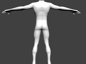 human basic complete male body Modelo 3D