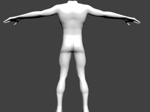 human basic complete male body 3D Model