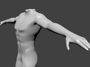 human basic complete male body 3D Model