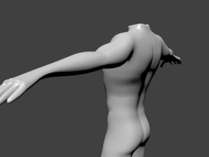 human basic complete male body 3D Model
