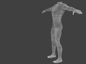 human basic complete male body 3D Model