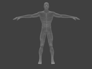 basic male human character Modèle 3D