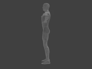 basic male human character 3D Model