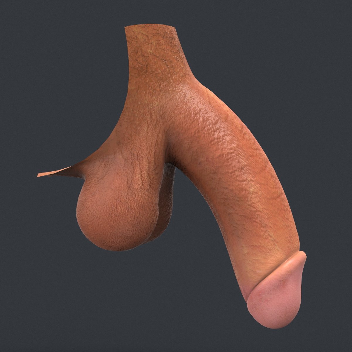 3d penis