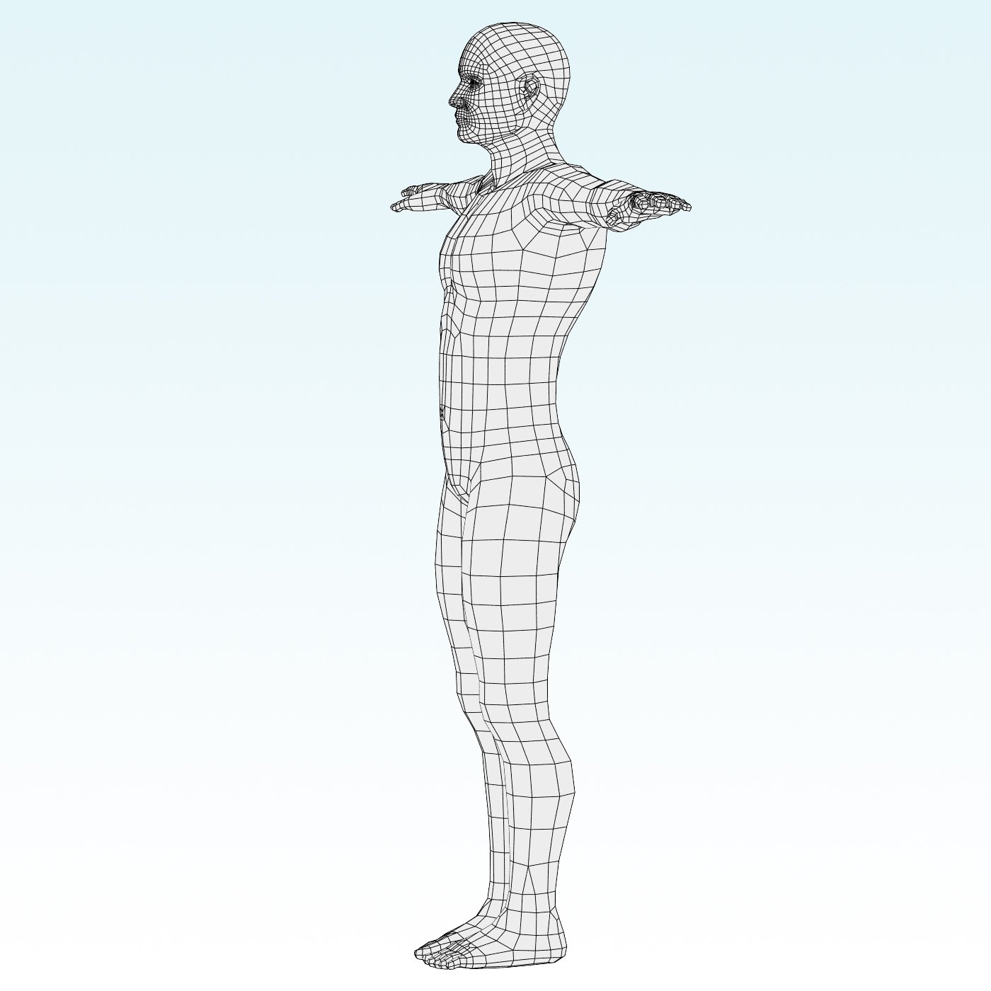 Base Mesh 3d download.