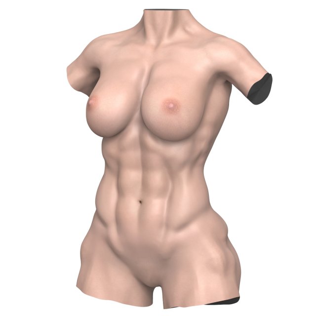 Young Muscular Woman Torso 3D Models .c4d .max .obj .3ds .fbx .lwo .lw .lws