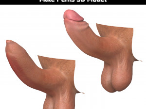 Photorealistic Uncircumcised and Circumcised Male Penis 3D Model