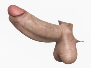 Realistic Man Monster Penis 3D Model