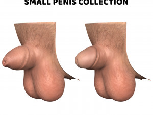 Realistic Man Small Penis Collection 3D Model