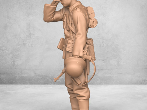 Disappointed Army Soldier 3D 打印模型