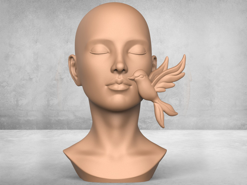 Woman Face With Bird Sculpture Modello di stampa 3D .c4d .max .obj .3ds .fbx .stl .blend 