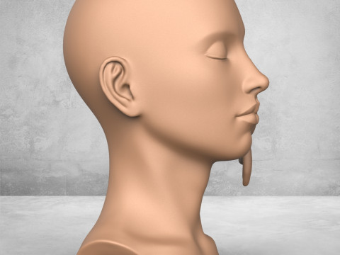 Woman Face With Bird Sculpture Modello di stampa 3D