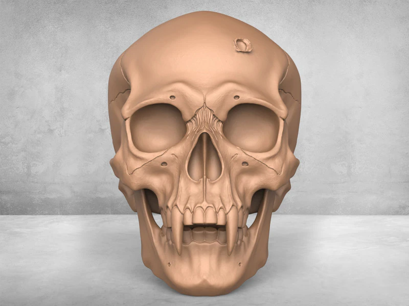 Teschio dell'uomo mostro Modello di stampa 3D .c4d .max .obj .3ds .fbx .stl .blend 