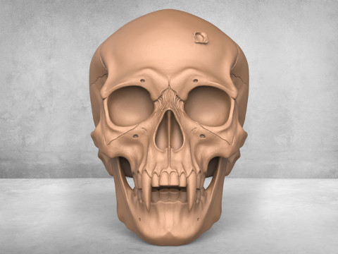 Monster Man Skull Modello di stampa 3D