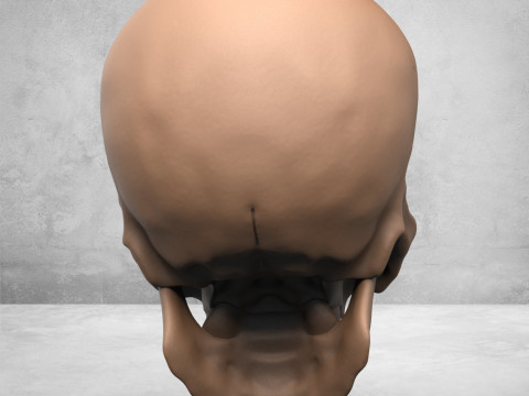 Monster Man Skull Modelo de impresión 3D