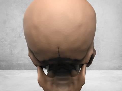 Teschio dell'uomo mostro Modello di stampa 3D