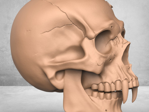 Monster Man Skull Modelo de impresión 3D