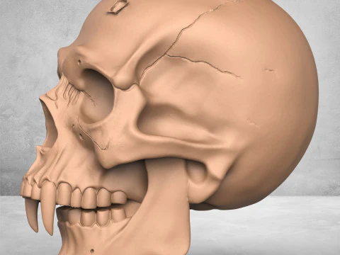 Teschio dell'uomo mostro Modello di stampa 3D
