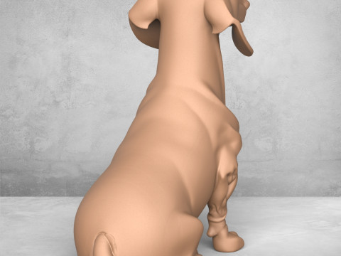 Dachshund Dog Modelo de Impressão 3D