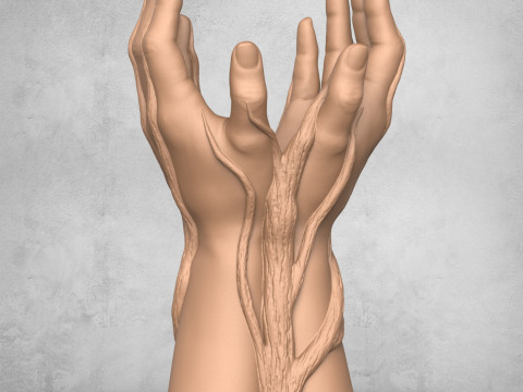 Beautiful Vase Hands Modelo de Impressão 3D