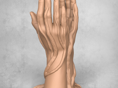 Beautiful Vase Hands Modelo de Impressão 3D