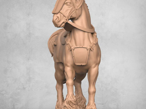 Re Cavallo Modello di stampa 3D