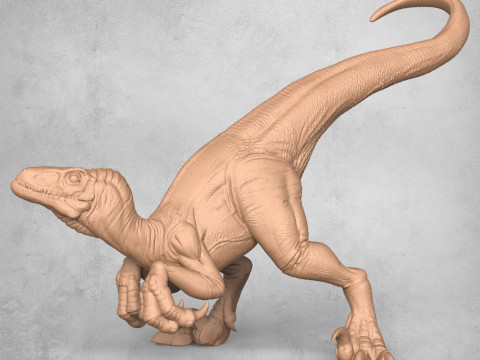 Velociraptor Dinosaur Attacking Modèles 3D en vedette