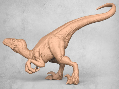 Velociraptor Dinosaur Attacking Modèles 3D en vedette