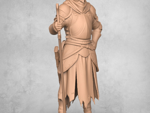 Medieval Warrior Statue Model do druku 3D