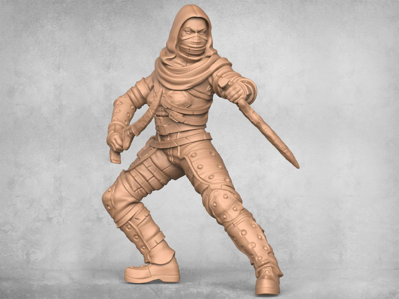 Modern Ninja Warrior 3D Print Model .c4d .max .obj .3ds .fbx .stl .blend 
