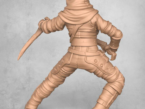 Modern Ninja Warrior 3D Print Model