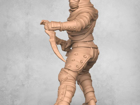 Modern Ninja Warrior 3D Print Model