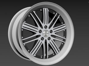Work Varianza F2S Model 3D