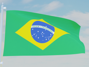 11 flags collection Model 3D
