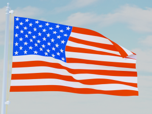 11 flags collection Model 3D