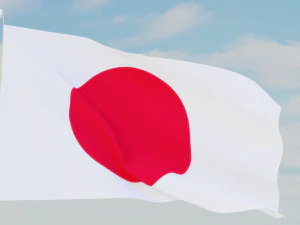 11 flags collection 3D Model