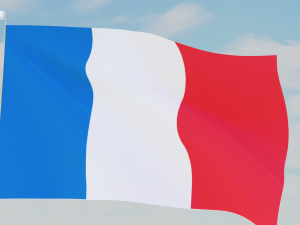 11 flags collection Model 3D