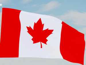 11 flags collection Model 3D