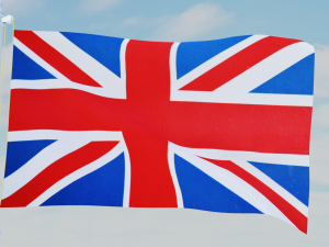 11 flags collection Model 3D