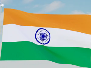 11 flags collection 3D Model