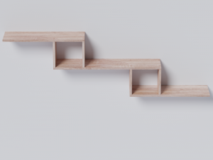 Shelf 1 3D Model