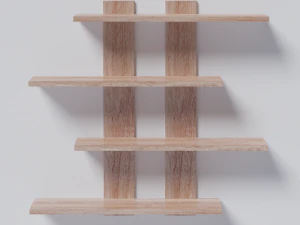 Shelf 4 3D Model