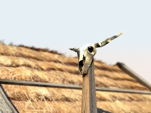 viking house 1 Modelo 3D