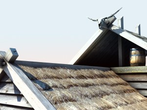 viking house 2 Modèle 3D