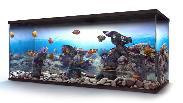 aquarium 3D 모델 .c4d .max .obj .3ds .fbx .stl .blend 
