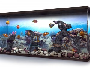 aquarium 3Dモデル
